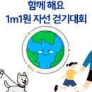 건강시티