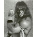 Ultimate Warrior's WWF 테마음악 이미지