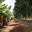 호주 농장 이미지