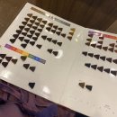 양덕동387 | 포항 양덕 미용실 ‘민스뷰티’ 톤다운염색 레이어드컷