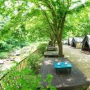 비둘기 펜션 이미지