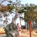 벌교생태공원 이미지