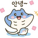 올레바당체험마을 이미지