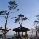 용인대학교 예술대학원 이미지