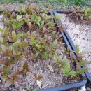 김정운농장 이미지