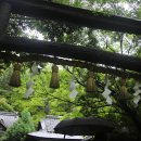 오사카/교토/나라 여행 이미지