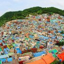 여행을 남기다 이미지