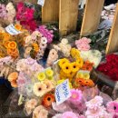 백년시장(강북종합전통시장) | 꽁꽁 얼어붙은 구멍난 팔 든 직장인은 남대문 꽃시장엘 가요💐