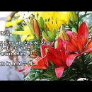 BY연주 이미지