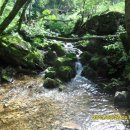 발교산산장 이미지