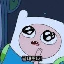 강*기 Daum카페