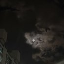 할멈탕수육김밥일곡점 이미지