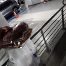 커피사피엔스DMC에코