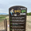황산애견 네이버블로그