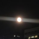 블루문노래연습장 이미지