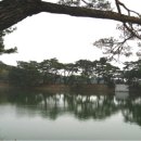 소나무풍경 이미지