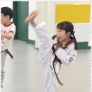 힘찬태권도 이미지