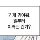 레드랫 이미지