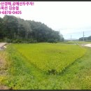 곡성군고달면백곡보건진료소 | [전남 곡성군토지(답)경매컨설팅] 곡성군 고달면 백곡리 1084-1 (2018타경12924) 낙찰방법