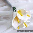 풀잎문화센터 이미지