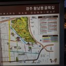 도원리 공중화장실(도로변) | 소재 연인, 아이들과 함께 꼭 가봐야할 과거와 현재가 공존하는 레트로 감성 거리 "황리단길" 방문 후기