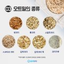 오트밀, 알고 먹자! [원흥헬스][원흥역헬스][원흥PT][원흥역PT]