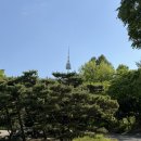 몽트커피 | 충무로 카페 추천｜남산골공원 바로 앞 감성카페 카페몽트 솔직후기