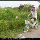예와생 이미지