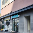 펫살롱 | 포메 풀코트관리 몽이의 힐링데이 양산사송애견미용 르네펫살롱 후기