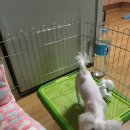 테라리움동물병원 이미지