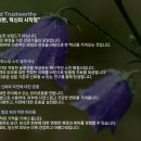 레드벨플라워