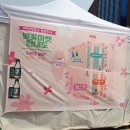 [가평 에덴벚꽃길] 경기 북부 벚꽃명소 다녀온 후기 가평 벚꽃/포토스팟/푸드존/벚꽃마켓 정보