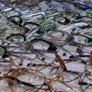 시선안경 이미지