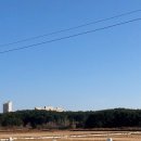 느린하루 | 17번째 일상 : 고성에서 보낸 가장 느린 하루｜고성 여행 후기｜솔즈베리 풀빌라 · 소노펠리체...