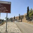 요르단 암만(Amman) 아인 가잘 고고학 유적지(Ayn Ghazal Neolitic Site) 이미지