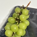 한양떡백화점 | 서울 다녀온 이야기, 명동교자와 카페코인 짱이당, 한국은행화폐박물관 / 신세계백화점 전시 <쌀의 직조>