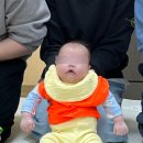 오감통통동화놀이터 | [일상이야기] 6개월 아기와 함께한 롯데마트 문화센터 오감체험 까꿍 놀이터 후기