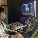 코지동물의료센터 | 노견 강아지 호흡곤란, 심장병일 수 있습니다. 인천 남동구 야간 동물병원