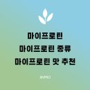 단백질 보충제 추천- 마이프로틴, 마이프로틴 종류, 마이프로틴 맛 추천(+내돈내산 후기)