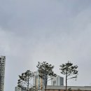 새샘마을 버스정류장1 이미지
