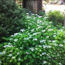 달밤펜션 이미지