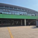 동백바다 | 부산여행 부산역 기념품 동백상회 바다소금카라멜 고구마카라멜 자일리톨 캔디 후기