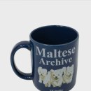 와이케이 더블유 이미지