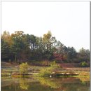 돌우물 - 군포시 군포로510번길 25 | 돌우물