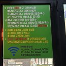 가야도야지 이미지