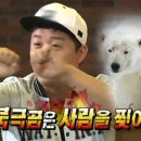 빠오즈푸 이미지