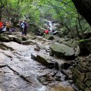 2014. 8/24 762차 서울 관악산 산행기