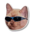 스마트캣 이미지