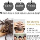탈모야놀자 이미지