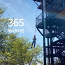싸이버파크 | 태백 365 세이프타운 후기 국내최대 안전체험 테마파크+챌린지월드 꿀팁